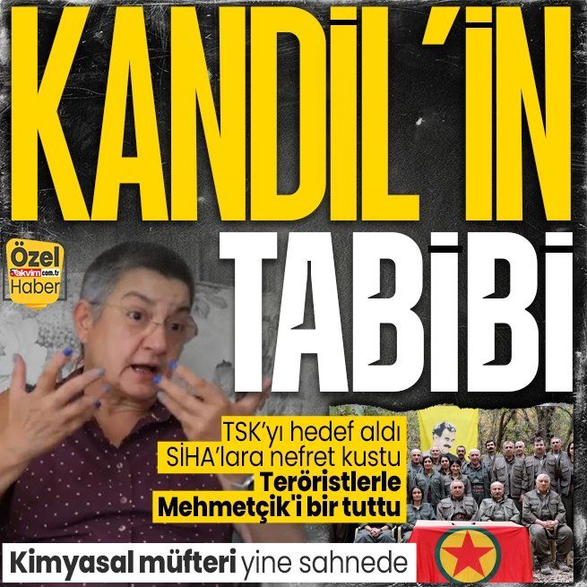 Şebnem Korur Fincancı yine TSK'yı hedef aldı! PKK elebaşlarıyla ağız birliği yaptı: Teröristlerle Mehmetçik'i bir tuttu