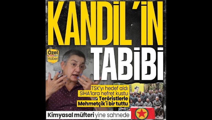 Şebnem Korur Fincancı yine TSK'yı hedef aldı! PKK elebaşlarıyla ağız birliği yaptı: Teröristlerle Mehmetçik'i bir tuttu