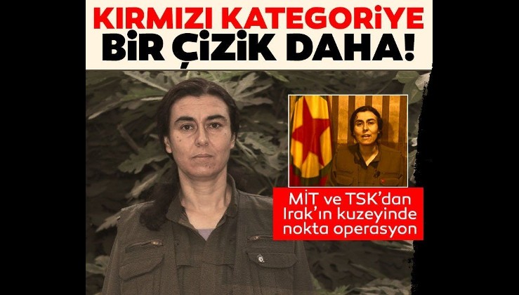 Mustafa Kemal'in Askerleri vatan savunmasında:  Kırmızı kategorideki PKK'lı Nazlı Taşpınar etkisiz