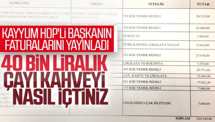 HDP'li Ahmet Türk'ün dudak uçuklatan harcamaları