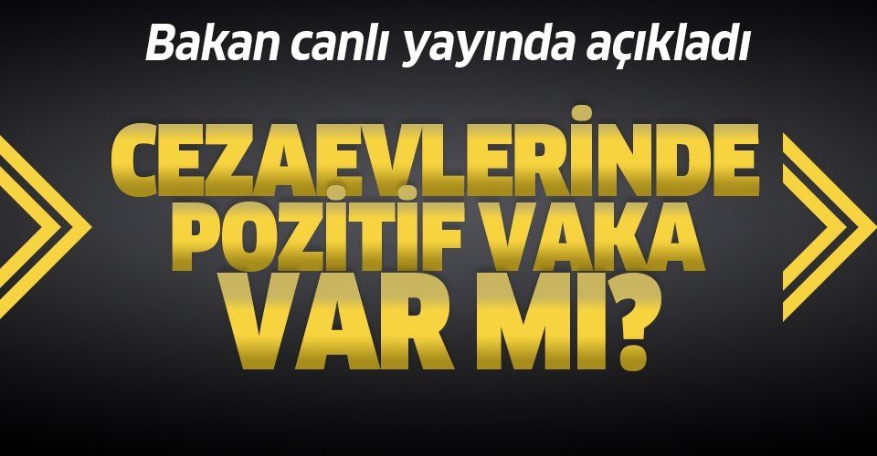 Adalet Bakanı Abdülhamit Gül'den flaş koronavirüs açıklaması: Cezaevlerinde pozitif vaka var mı?.
