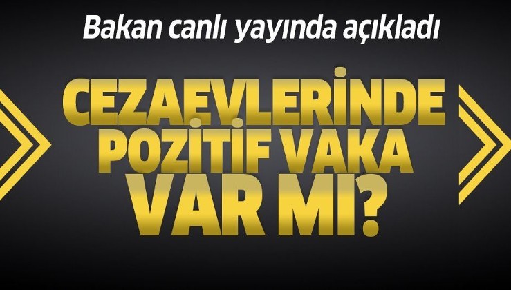 Adalet Bakanı Abdülhamit Gül'den flaş koronavirüs açıklaması: Cezaevlerinde pozitif vaka var mı?.