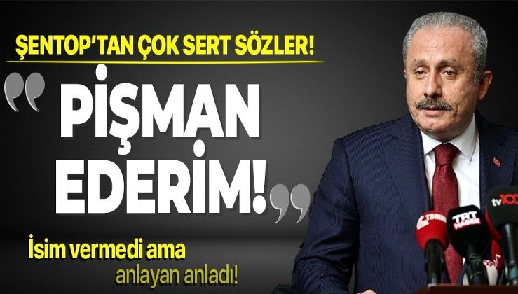 TBMM Başkanı Mustafa Şentop'tan sert cevap: Pişman ederim!