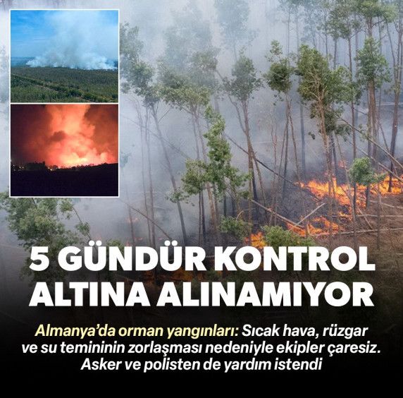 Almanya'da orman yangınları: Beş gündür kontrol altına alınamadı