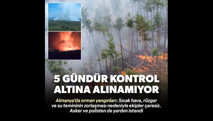 Almanya'da orman yangınları: Beş gündür kontrol altına alınamadı
