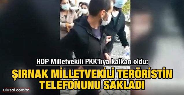 HDP Milletvekili PKK'lıya kalkan oldu: Şırnak Milletvekili teröristin telefonunu sakladı