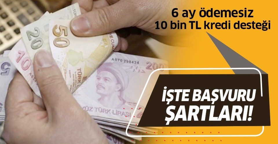 Son dakika: 6 ay ödemesiz 10 bin TL kredi! Ziraat Bankası, Halkbank ve Vakıfbank'ın kredi desteğine başvuru şartları nelerdir?
