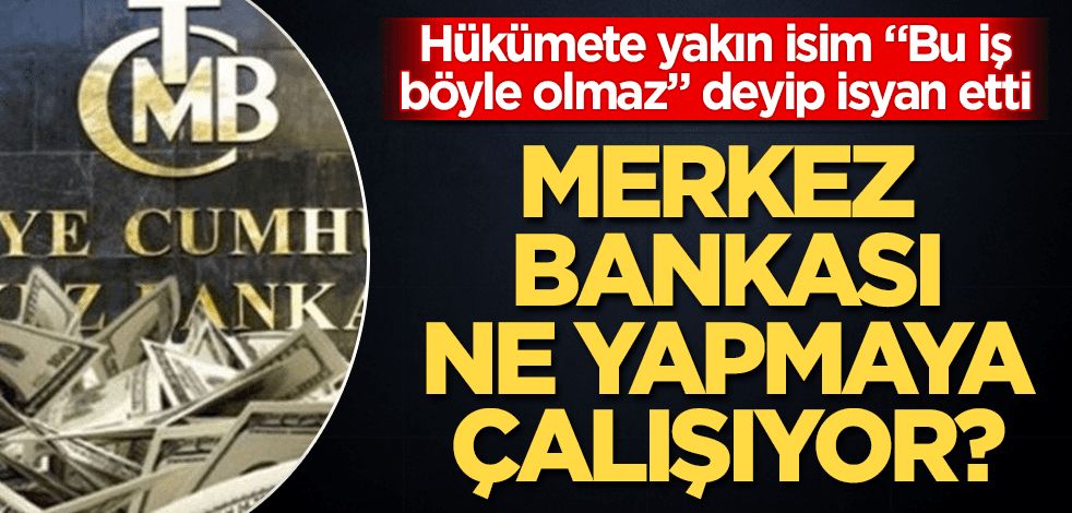 Hükümete yakın isimden Merkez Bankası'na "anket" tepkisi