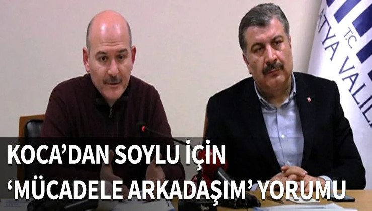 Bakan Koca'dan Süleyman Soylu yorumu...