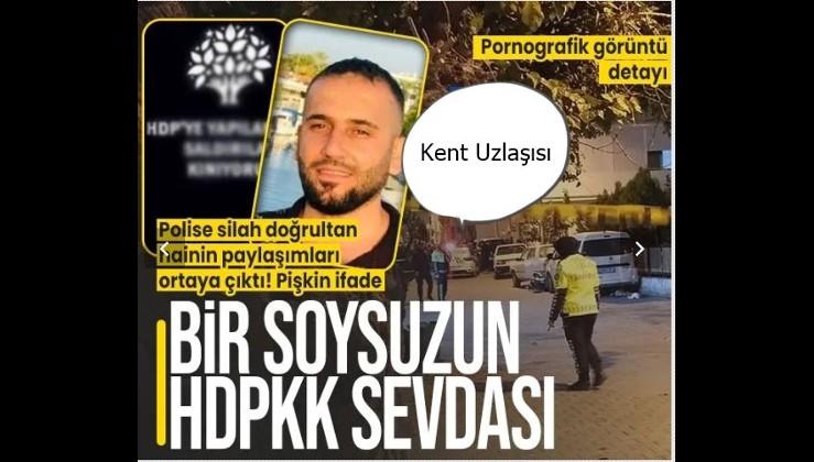 İzmir'de polise saldıran Mehmet Sami Çelik HDP'li çıktı | Skandal ifade: Husumetlim sandım | Pornografik görüntü detayı