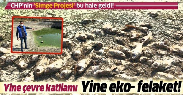 İzmir'in 'Simge projesi' denmişti! Göletlerde balıklar, kirlilik nedeniyle öldü