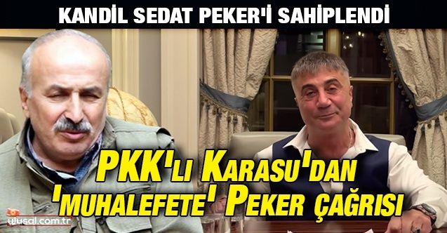 Kandil Sedat Peker’i sahiplendi: PKK'lı Karasu'dan 'muhalefete' Peker çağrısı