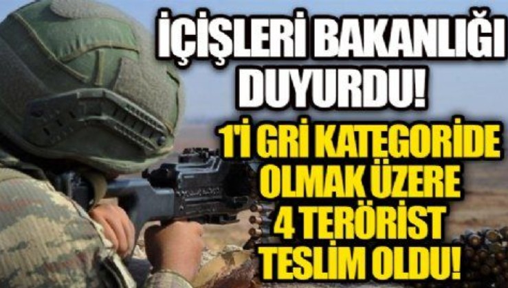 Terör örgütü PKK'da çözülme sürüyor: 1'i gri kategoride olmak üzere 4 terörist teslim oldu