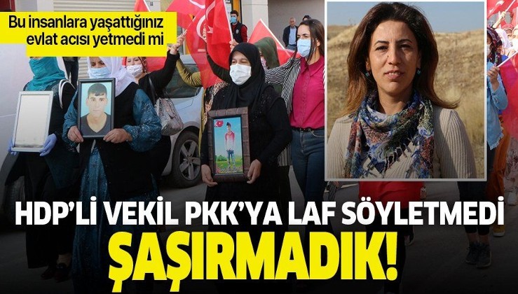 HDP'li vekil teröre tepki eylemini engellemek istedi! Sloganlara karşı çıktı