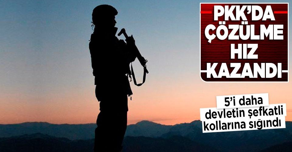 Son dakika: PKK'da çözülme hız kazandı! 5 terörist daha teslim oldu