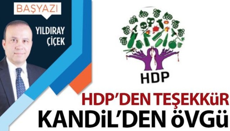 HDP'den teşekkür, Kandil'den övgü