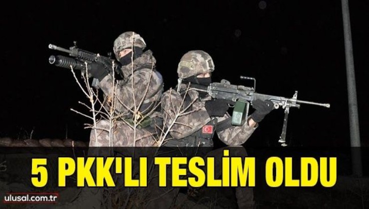 Terör örgütünden kaçan 5 PKK'lı teslim oldu