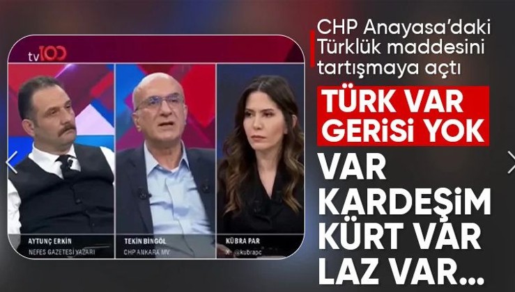 CHP'li Tekin Bingöl'den 'Türklük' çıkışı
