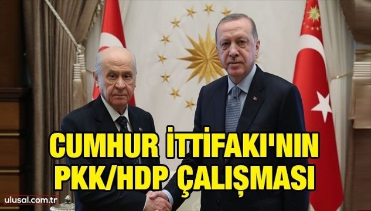 Cumhur İttifakı'nın PKK/HDP çalışması