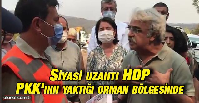 HDP PKK'nın yaktığı orman bölgelerine gitti