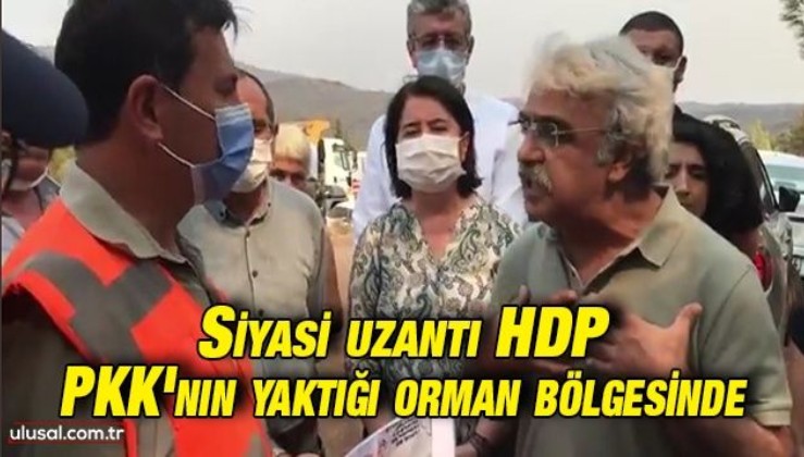 HDP PKK'nın yaktığı orman bölgelerine gitti