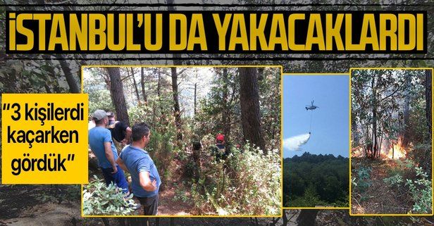 Son dakika: İstanbul Beykoz'da ormanlık alanda yangın: "3 kişi geldi, kaçarken gördük"
