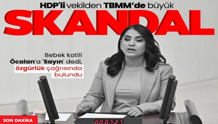 HDP-DEM Parti'den TBMM kürsüsünde hadsizlik! "Öcalan'a özgürlük" istedi