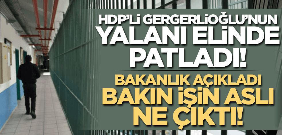 HDP'li Gergerlioğlu'nun yalanı elinde patladı! Bakanlık açıkladı: Bakın işin aslı ne çıktı!