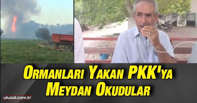 Ormanları yakan PKK'ya meydan okudular