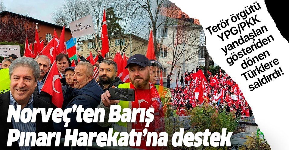 Norveç'te Barış Pınarı Harekatı'na destek gösterisi.