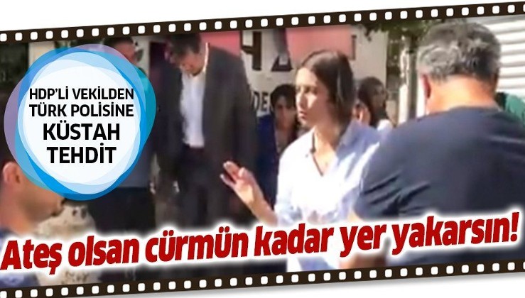 HDP'li milletvekili Dersim Dağ'dan Türk polisine küstah tehdit!.