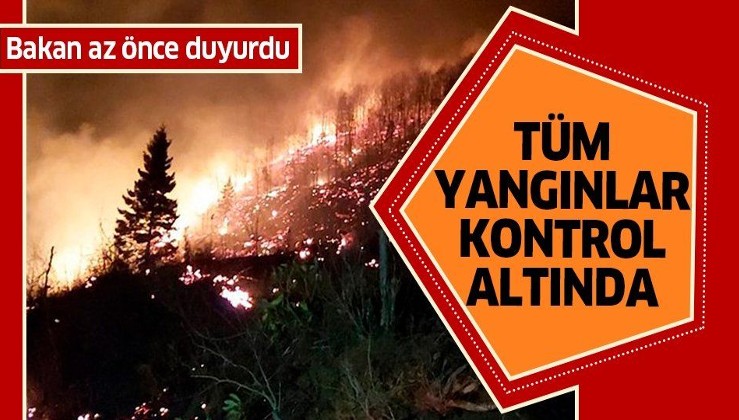 Karadeniz'deki orman yangınları ile ilgili açıklama.