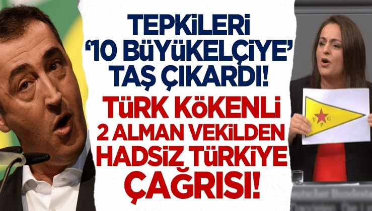 Cem Özdemir ve Sevim Dağdelen'den büyükelçi kararıyla ilgili hadsiz Türkiye çağrısı!