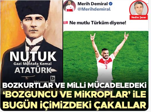 Bozkurtlar ve milli mücadeledeki ‘bozguncu ve mikroplar’ ile bugün içimizdeki çakallar