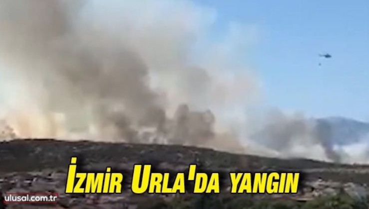 İzmir Urla'da yangın