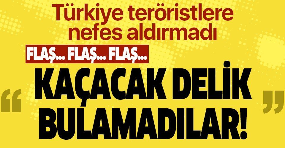 PKK/FETÖ virüsleriyle de mücadele sürüyor: 89 terörist etkisiz hale getirildi.