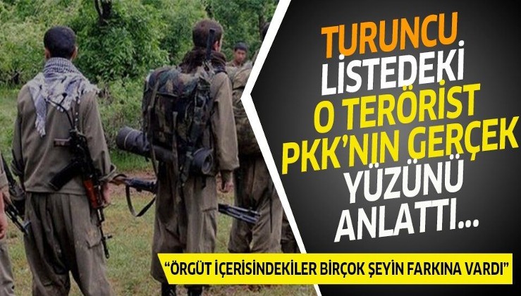 Turuncu listedeki o terörist PKK'nın gerçek yüzünü anlattı!