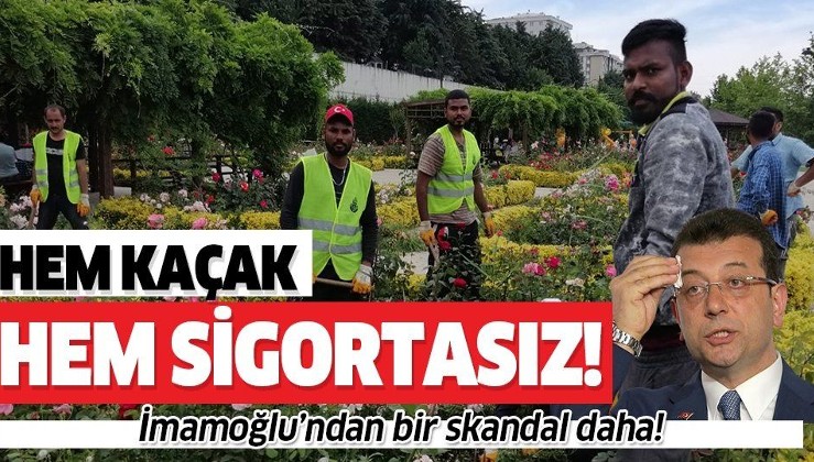 HDP'li yüklenici/İstanbul Büyükşehir Belediyesi kaçak ve sigortasız işçi çalıştırıyor