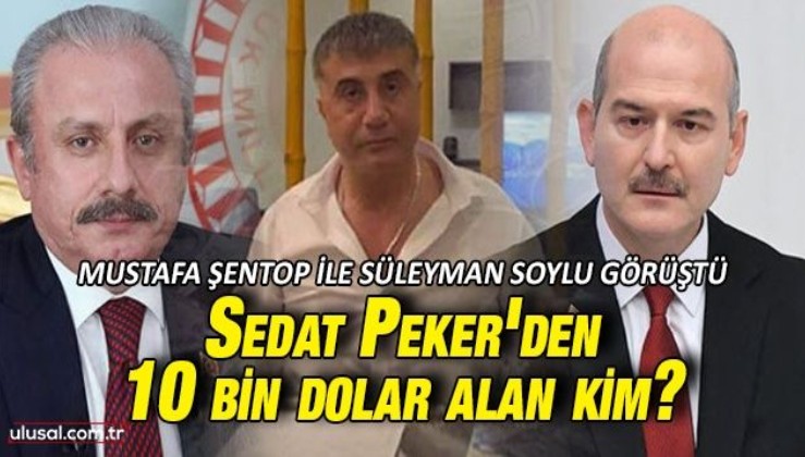 Şentop Soylu ile görüşmesi hakkında konuştu: Sedat Peker'den 10 bin dolar alan kim?
