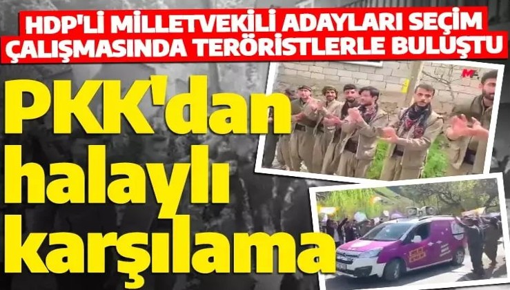 HDP'li milletvekili adaylarına PKK'lı karşılama: Hakkari'de teröristlerle halay çektiler