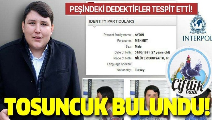 Tosuncuk lakaplı Mehmet Aydın'ın adresi tespit edilip Interpol'e bildirildi