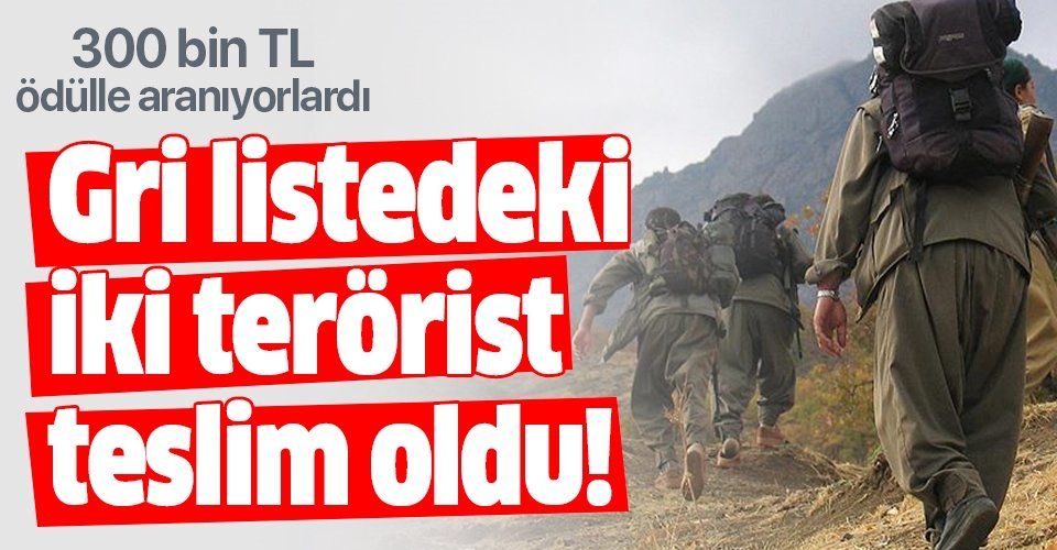'Gri listedeki' 2 terörist teslim oldu!.