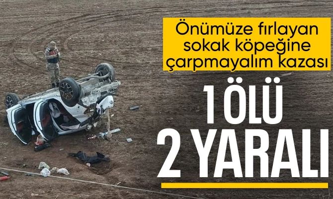 Köpeğe çarpmamak için manevra yaptı: 1 kişi hayatını kaybetti