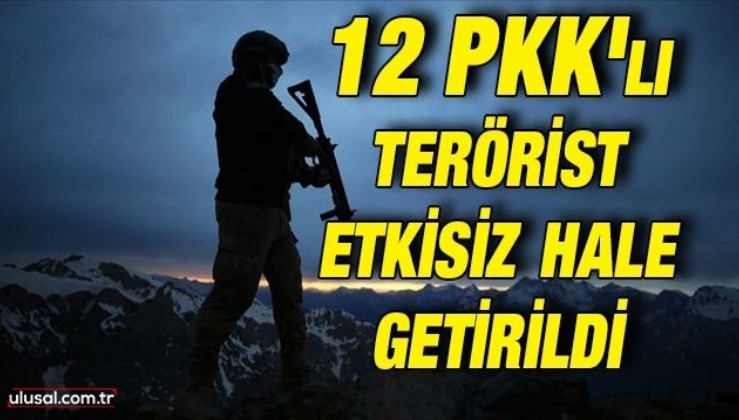 Irak'ın kuzeyinde operasyon: 12 PKK'lı terörist etkisiz hale getirildi