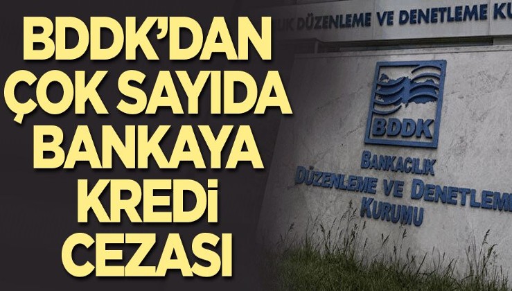 BDDK’dan çok sayıda bankaya kredi cezası