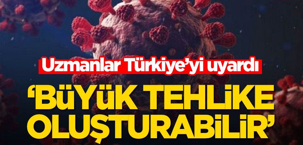Uzmanlar Türkiye’yi uyardı! ‘Büyük tehlike oluşturabilir’