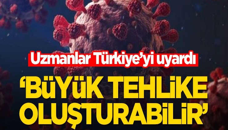 Uzmanlar Türkiye’yi uyardı! ‘Büyük tehlike oluşturabilir’