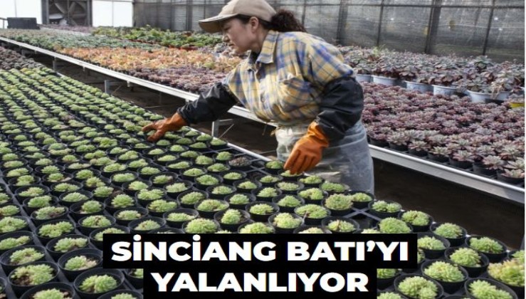 Sinciang Batı’yı yalanlıyor