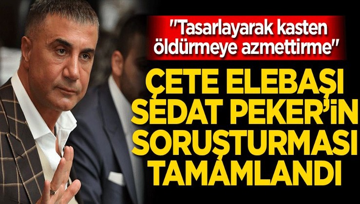 Elebaşılığını Sedat Peker'in yaptığı suç örgütüne yönelik soruşturma tamamlandı