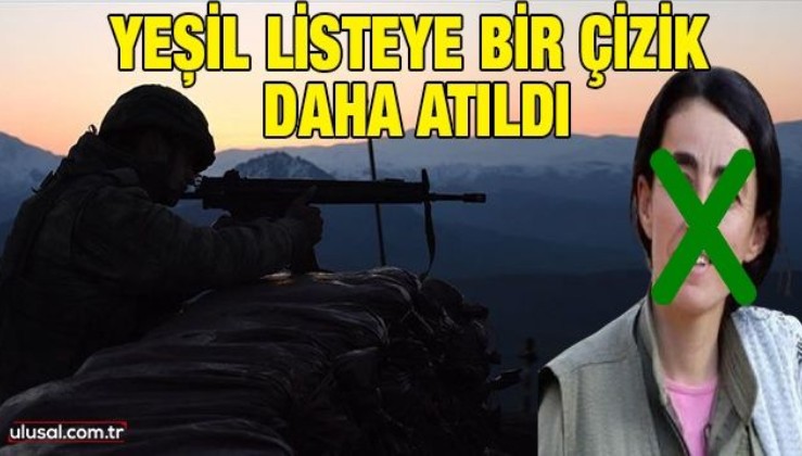 Yeşil listeye bir çizik daha: 2 milyon TL ödülle aranan PKK'lı Deniz Orak etkisiz hale getirildi